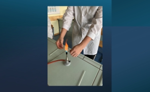 Vom Schüler zum Laboranten: Wie Schülerinnen und Schüler der RHG als Chemielaborant tätig sind